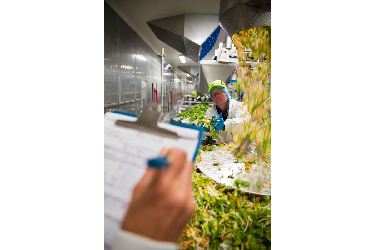 robin britstra fotograaf zutphen gelderland warnsveld